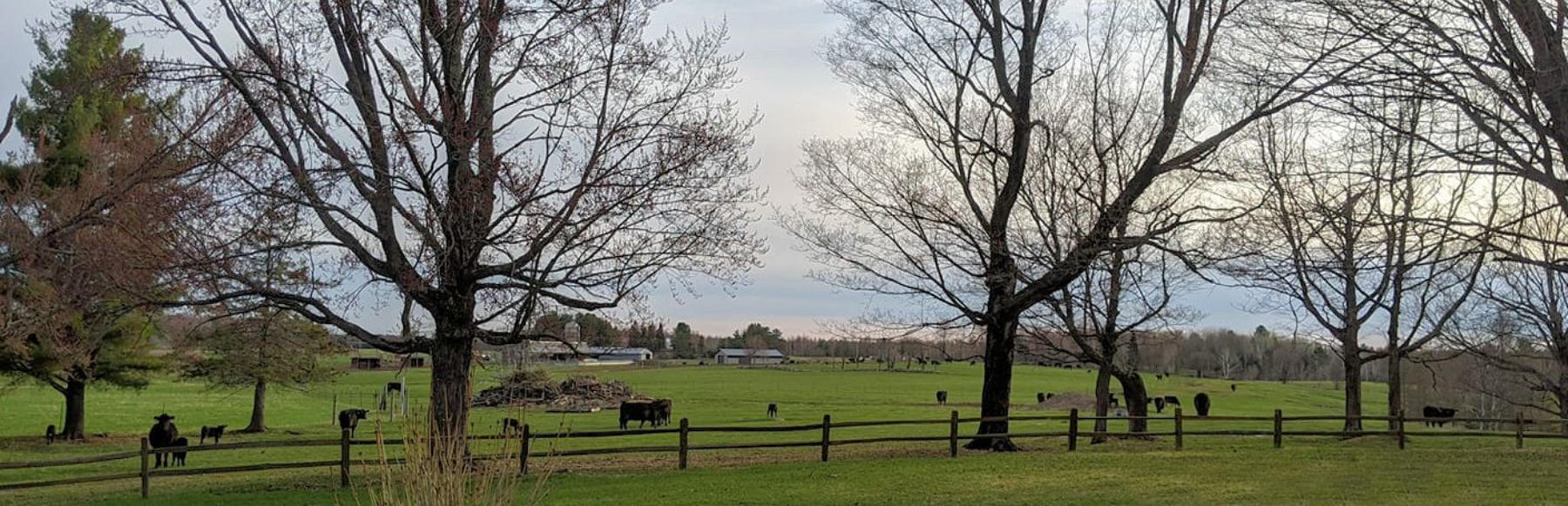 Deer Creek Angus Farm | Local Beef Farmer