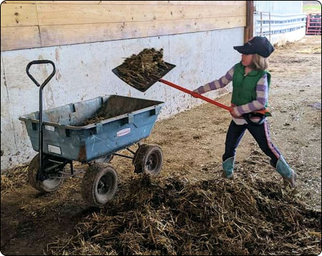 Little Farmer at Deer Creek Angus Farm