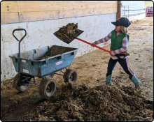 Little Farmer at Deer Creek Angus Farm